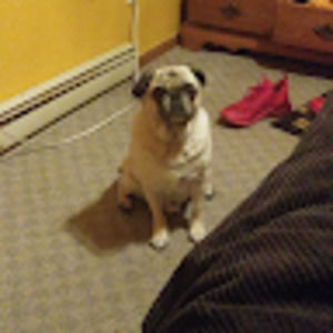 Meet your Posher, Caleb